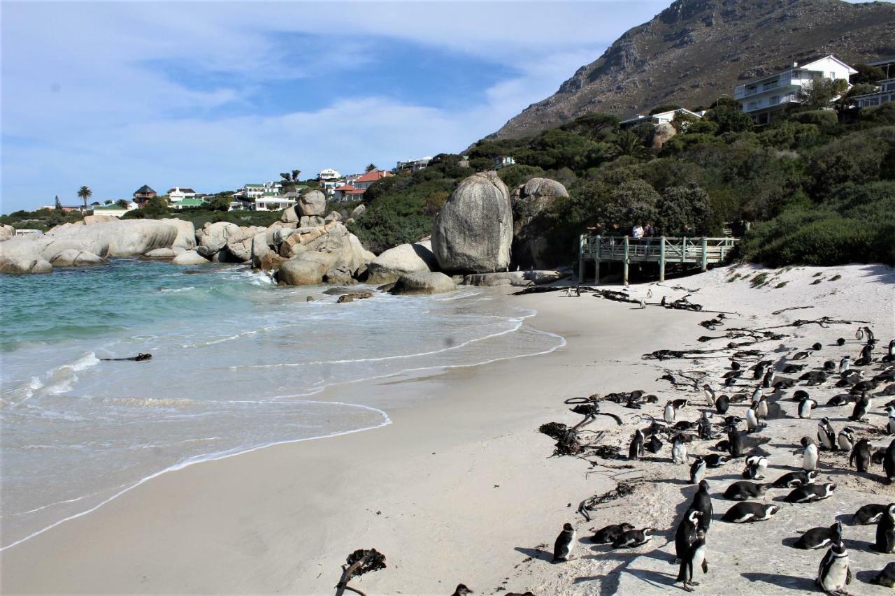 South Peninsula Beach Apartment Cape Town Eksteriør bilde