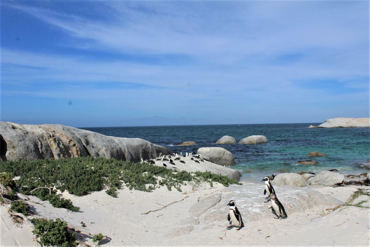 South Peninsula Beach Apartment Cape Town Eksteriør bilde